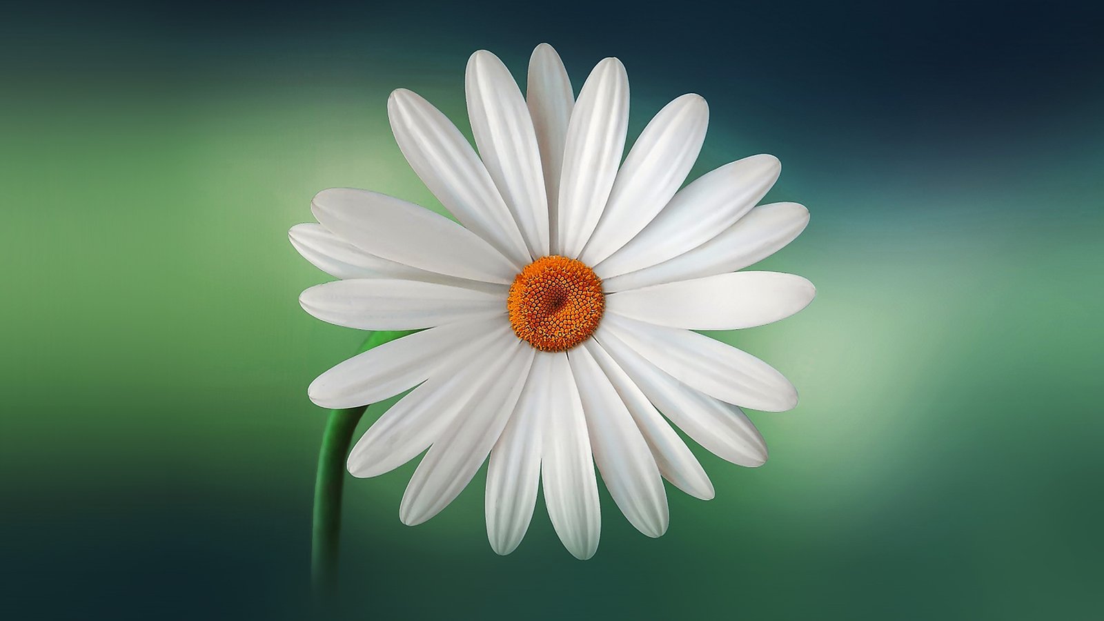 Up-to-Date Inventory